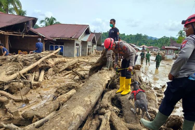 Flood Uncovers Indonesia’s Truth: Suffering from Endless Greed